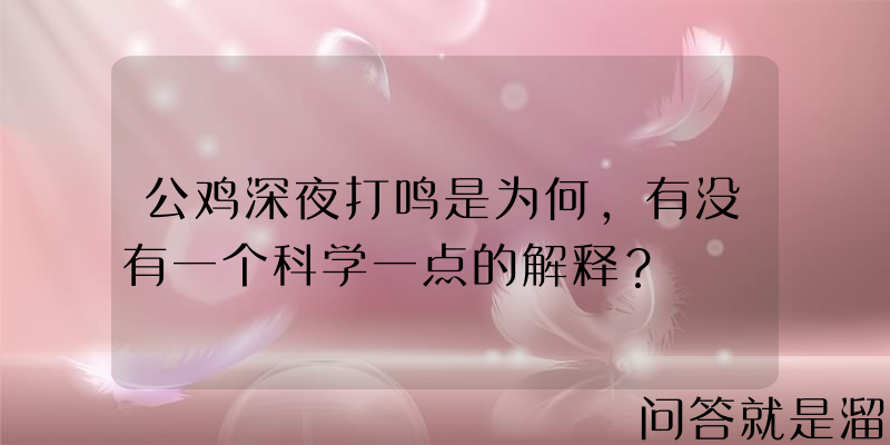 公鸡深夜打鸣是为何，有没有一个科学一点的解释？