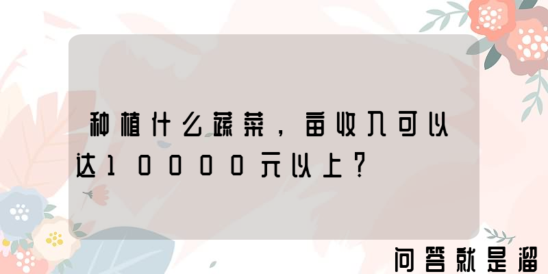 种植什么蔬菜，亩收入可以达10000元以上？