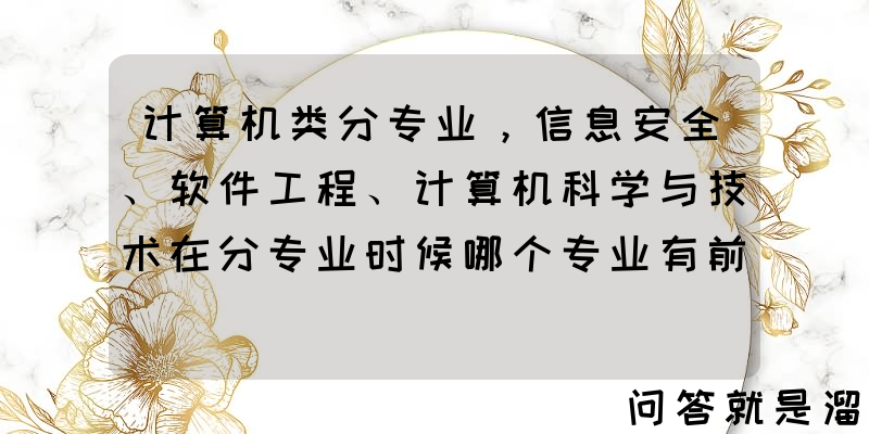 计算机类分专业，信息安全、软件工程、计算机科学与技术在分专业时候哪个专业有前途？