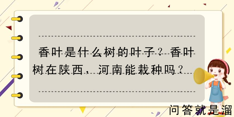 香叶是什么树的叶子？香叶树在陕西，河南能栽种吗？